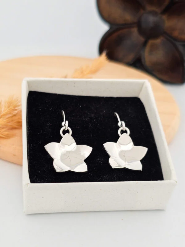 Boucles d'oreilles fleurs de frangipanier en argent